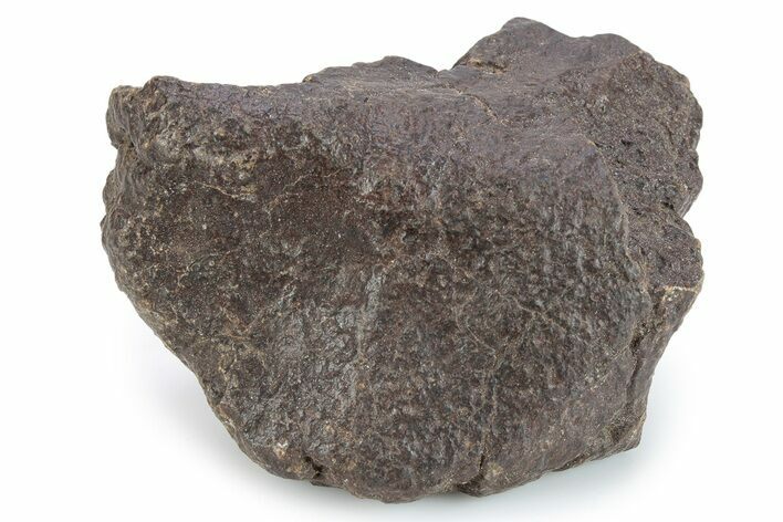 Chondrite Meteorite ( g) - Western Sahara Desert #285378